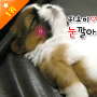 또까뜨까